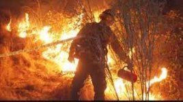 Unnützes Wissen III.jpg Unnützes Wissen III.jpg