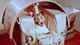 1758334424983.png 1758334424983.png