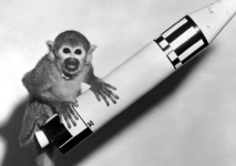 1758335462067.png 1758335462067.png