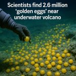 little golden eggs.jpg