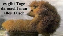 1767190911105.png 1767190911105.png