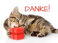 1771065012899.png 1771065012899.png