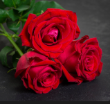 1771141762586.png 1771141762586.png