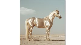 Achal-Tekkiner silbrig.jpg Achal-Tekkiner silbrig.jpg