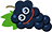 1778096897890.png