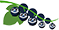 1779481971400.png