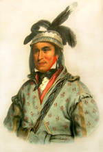 1786254429211.png