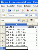 excel-in-csv-umwandeln_output.gif