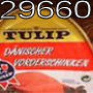Tulip