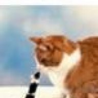 hoffi