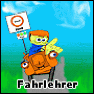 Fahrlehrer