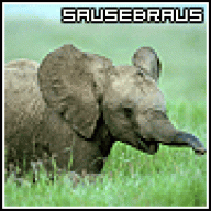 Sausebraus