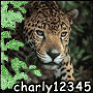 charly12345
