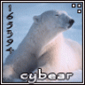 cybear