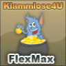 flexmax