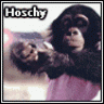 Hoschy