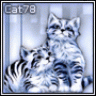 Cat78