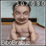 BiboBrabus