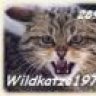 Wildkatze1973