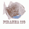 piranha110