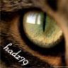 hadz79