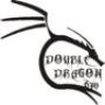 doubledragon670