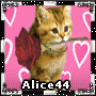 Alice44