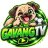 gavangtvnews