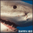 Shark160